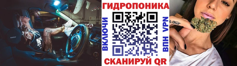А ПВП Дмитров