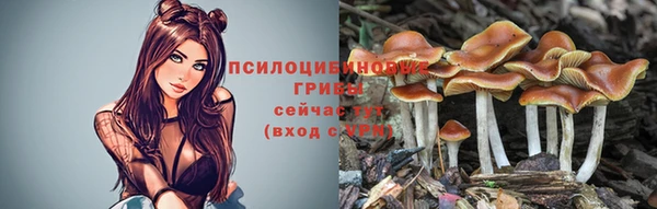 эйфоретик Богородск