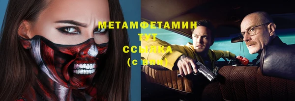 гидра Богородицк
