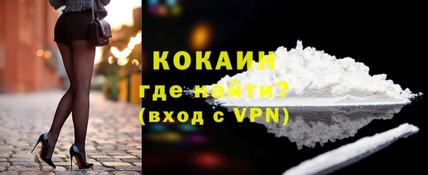гидра Богородицк