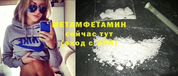 гидра Богородицк