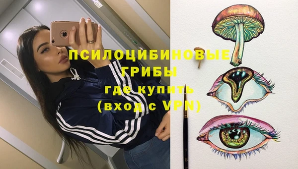 эйфоретик Богородск