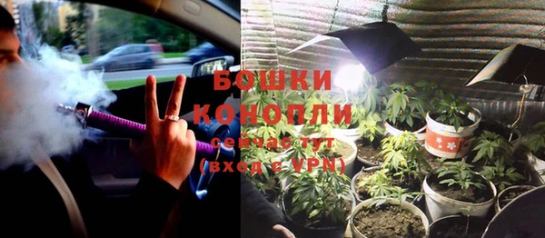 гидра Богородицк