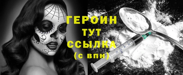 гидра Богородицк